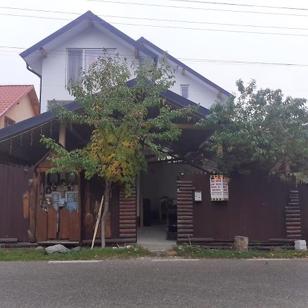 Отель Casa Denisa Vidraru Transfgarasan Capatineni-Ungureni Экстерьер фото