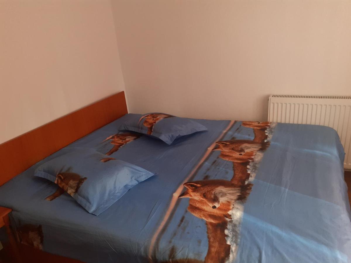 Отель Casa Denisa Vidraru Transfgarasan Capatineni-Ungureni Экстерьер фото