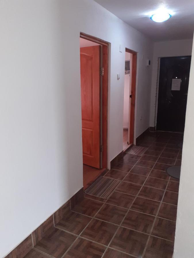 Отель Casa Denisa Vidraru Transfgarasan Capatineni-Ungureni Экстерьер фото