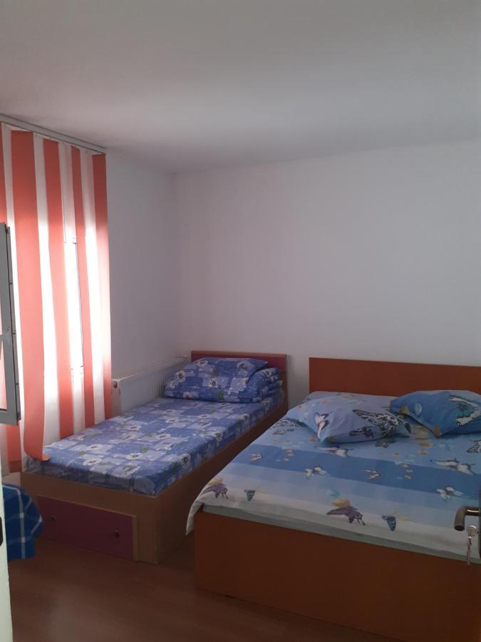 Отель Casa Denisa Vidraru Transfgarasan Capatineni-Ungureni Экстерьер фото