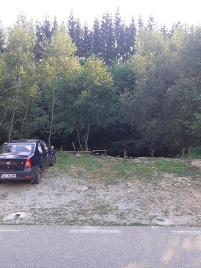 Отель Casa Denisa Vidraru Transfgarasan Capatineni-Ungureni Экстерьер фото