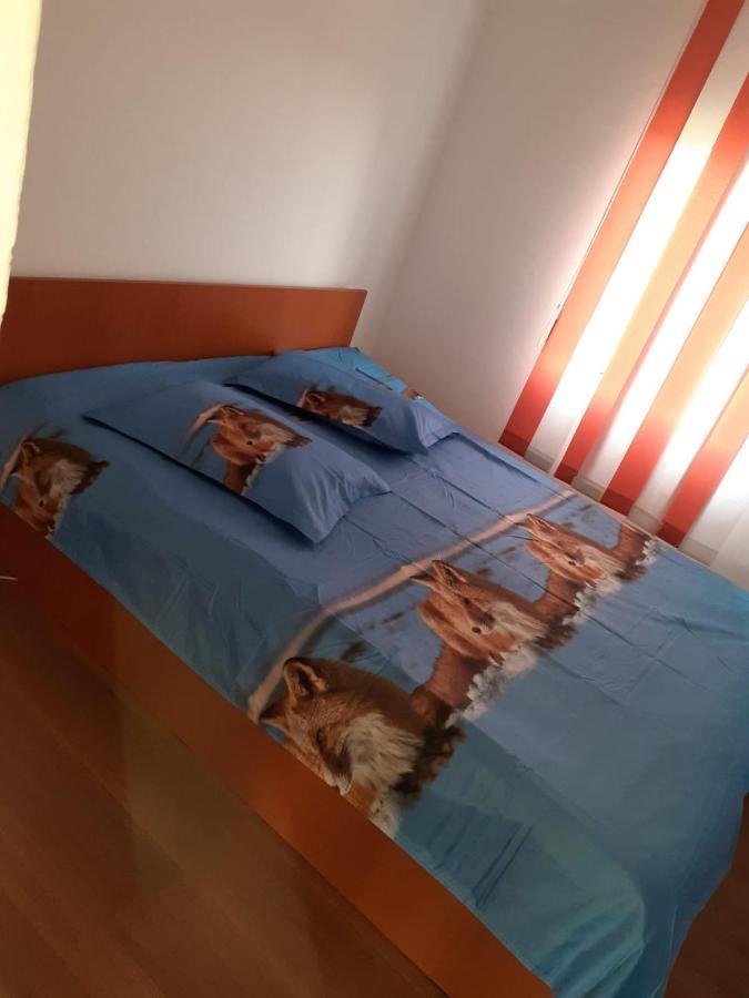 Отель Casa Denisa Vidraru Transfgarasan Capatineni-Ungureni Экстерьер фото
