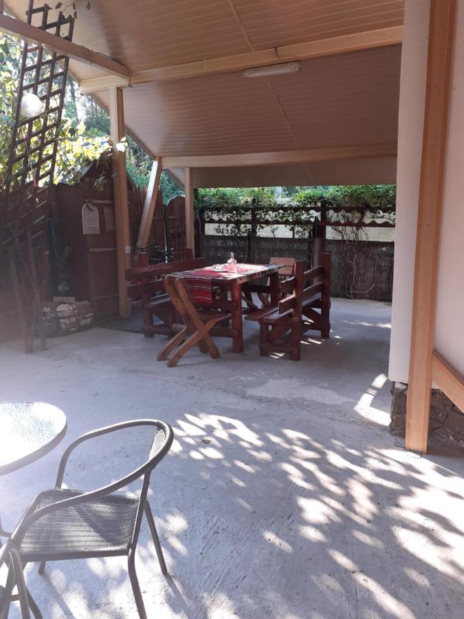 Отель Casa Denisa Vidraru Transfgarasan Capatineni-Ungureni Экстерьер фото