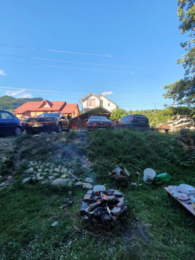 Отель Casa Denisa Vidraru Transfgarasan Capatineni-Ungureni Экстерьер фото